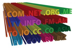 establishing a domain name