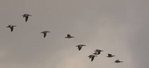 seo impacts migrating from wordpress.com